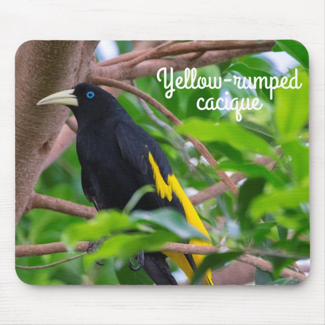 Yellow-rumped cacique mouse mat (Front)