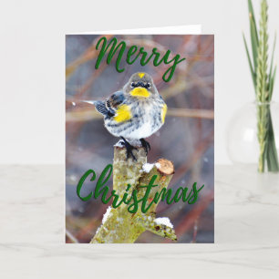 Yellow Rumped Warbler Photo Christmas Card