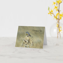 Yellow-Rumped Warbler - Thinking of You