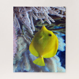 Yellow Saltwater Tang Fish Jigsaw Puzzle