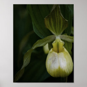 Yellow Slipper 2 Print