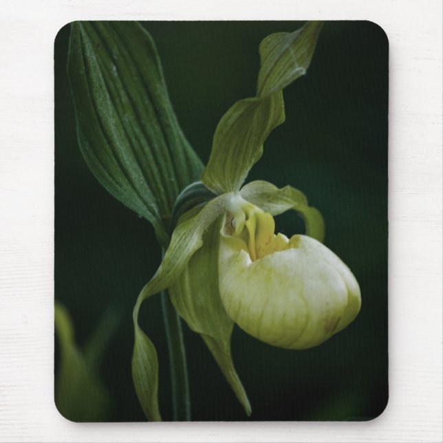 Yellow Slipper Mousepad (Front)