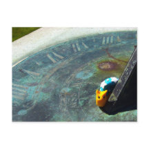 Yellow snail visiting a sundial