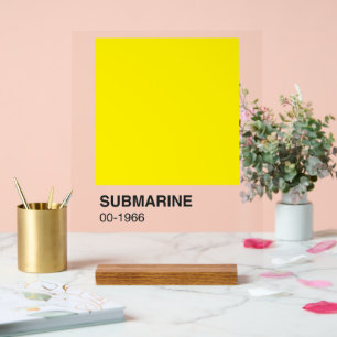 Yellow Song Album - Clear Background Acrylic Sign