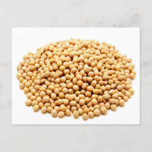 Yellow soybeans postcard