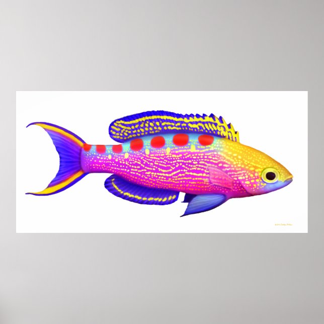 Yellow Spotted Anthias Reef Fish Poster (Front)