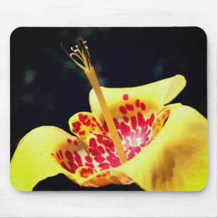 Yellow Spotted Lily Flower Mouse Mat