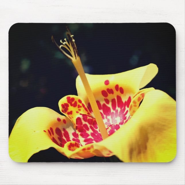 Yellow Spotted Lily Flower  Mouse Mat (Front)