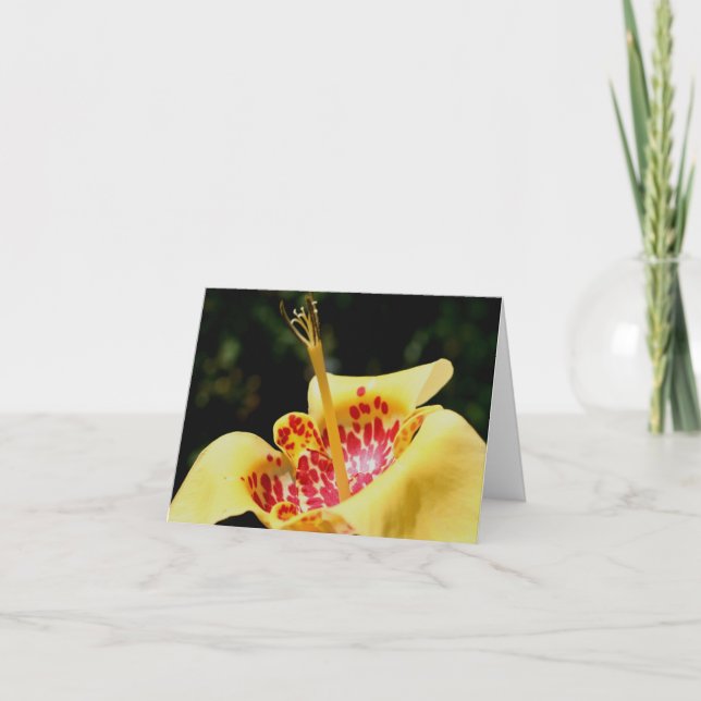 Yellow Spotted Lily Flower Photography  Note Card (Front)
