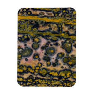 Yellow spotted Ocean Jasper Magnet