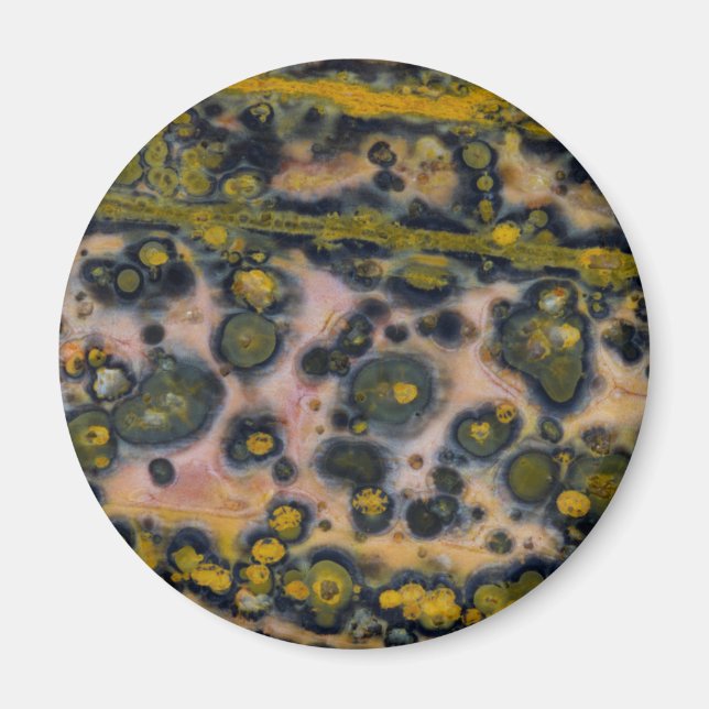 Yellow spotted Ocean Jasper Magnet (Front)