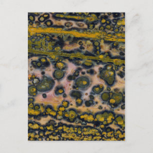 Yellow spotted Ocean Jasper Postcard