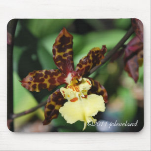 Yellow Spotted Orchid from Gardenfest 2011 Mouse Mat