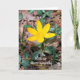 Yellow Spring Crocus Sympathy Card
