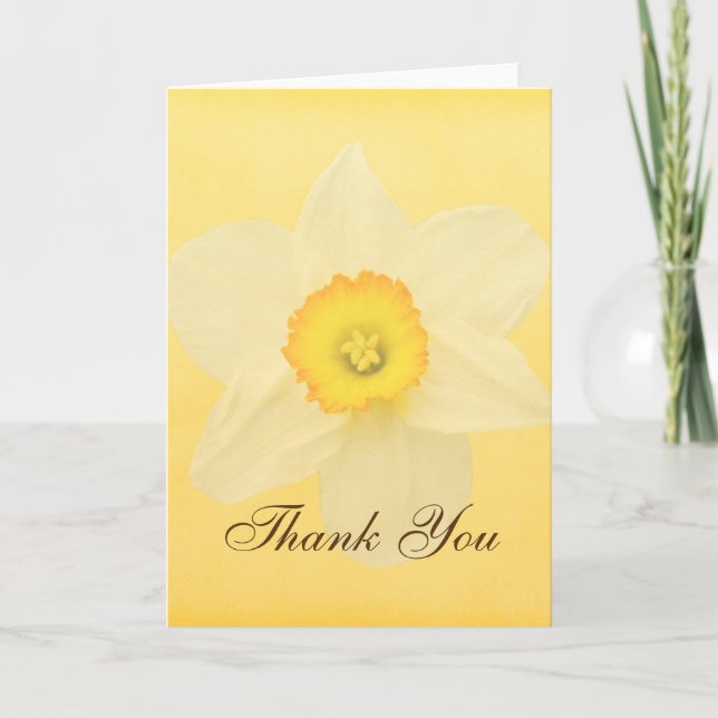 Yellow Spring Daffodil Flower Thank You Card (Front)