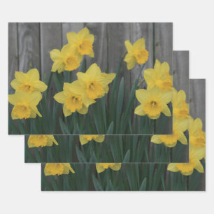 Yellow Spring Daffodil Garden Rustic Country Photo Wrapping Paper Sheet