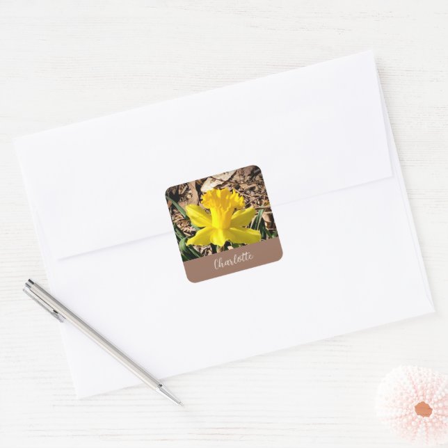 Yellow Spring Daffodil in the Garden Custom Name   Square Sticker (Envelope)