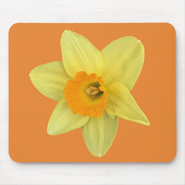 Yellow Spring Daffodil Mouse Mat (Front)