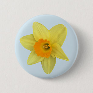 Yellow Spring Daffodil on Pale Blue 6 Cm Round Badge