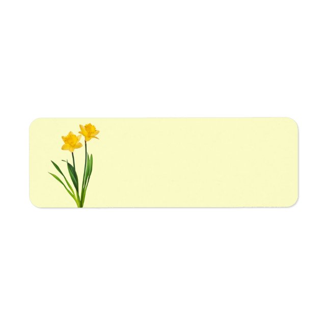 Yellow Spring Daffodils - Daffodil Template (Front)
