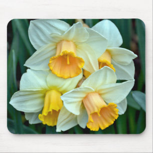 Yellow spring daffodils mouse mat