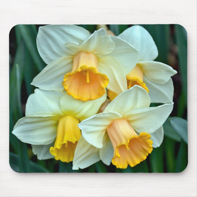 Yellow spring daffodils mouse mat (Front)
