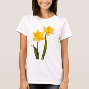 Daffodil clothing Clearance