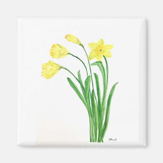 Yellow spring floral watercolor daffodils flowers magnet (Front)
