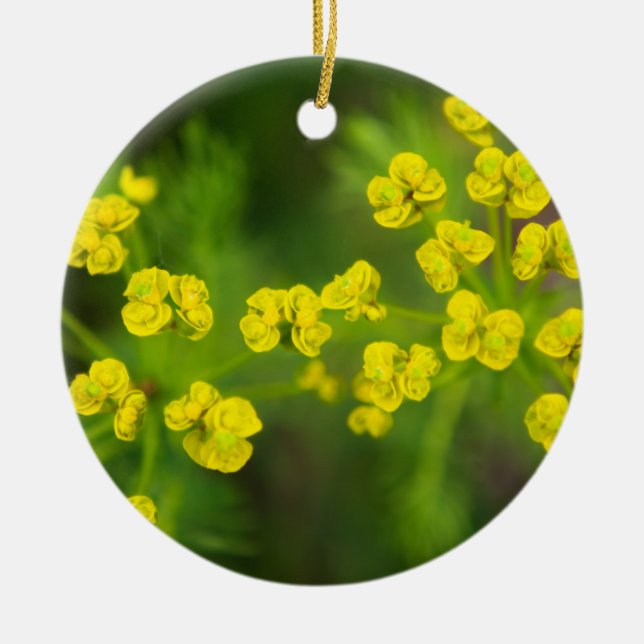 Yellow Spring Flowers Ceramic Tree Decoration (Front)