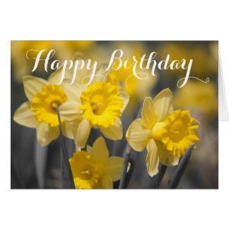 Yellow Spring Flowers | Daffodil Greeting Card