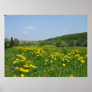 Yellow spring flowers in a green meadow poster