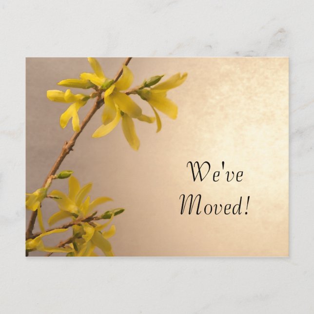 Yellow Spring Forsythia Change of Address Announcement Postcard (Front)