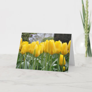 Yellow spring tulips card
