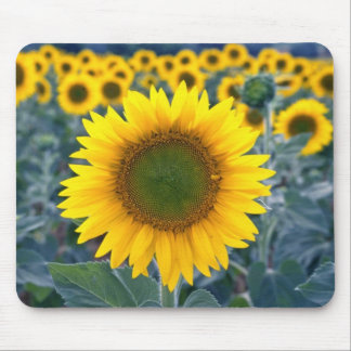 yellow Stand out from the crowd flowers Mouse Mat
