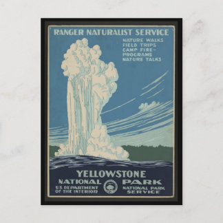 Yellow Stone National Park Postcard