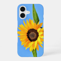 Yellow Sunflower Against Sun On Blue Sky