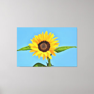 Yellow Sunflower Against Sun on Blue Sky - Summer  Canvas Print