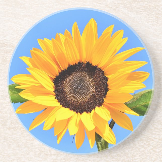 Yellow Sunflower Against Sun on Blue Sky - Summer  Coaster (Front)