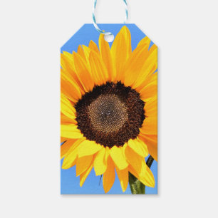 Yellow Sunflower Against Sun on Blue Sky - Summer Gift Tags