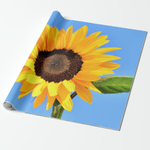 Yellow Sunflower Against Sun on Blue Sky - Summer Wrapping Paper