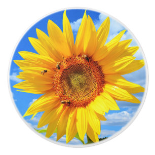 Yellow Sunflower and Bees on Blue Sky Ceramic Knob