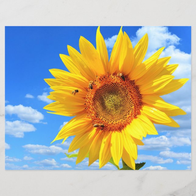 Yellow Sunflower and Bees on Blue Sky Flyer (Front)