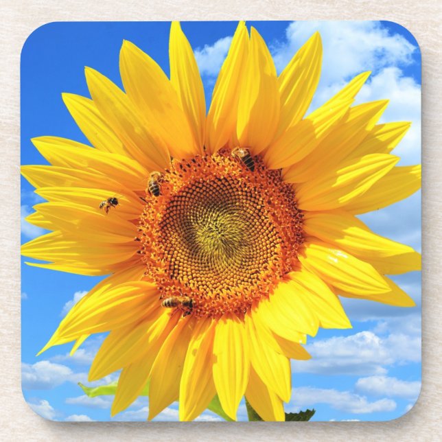 Yellow Sunflower and Bees on Blue Sky - Summer Coaster (Front)