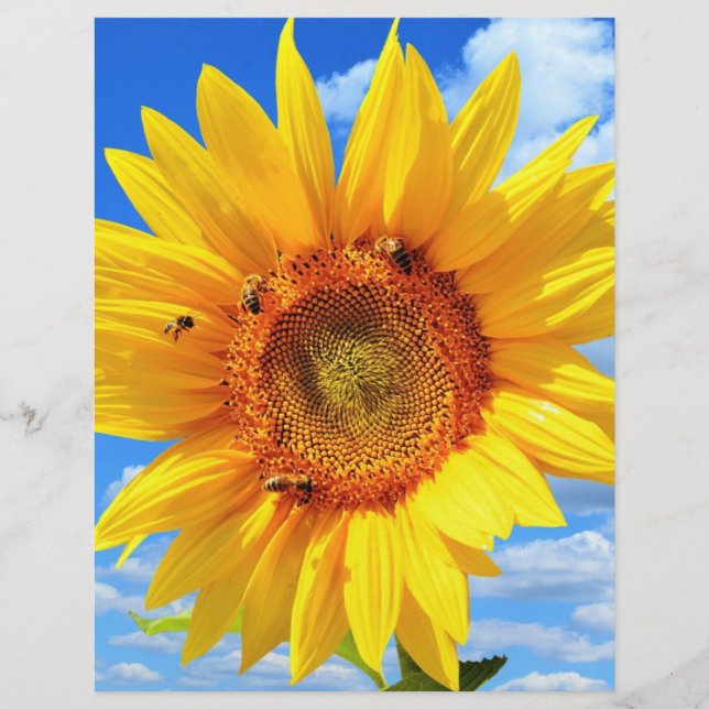 Yellow Sunflower and Bees Summer Letterhead (Back)