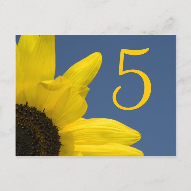 Yellow Sunflower and Blue Sky Table Number Postcard (Front)