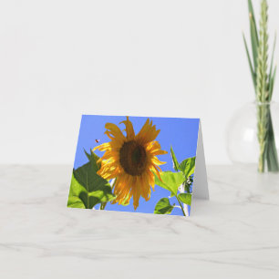 Yellow Sunflower and Honey Bee Summer Note Card