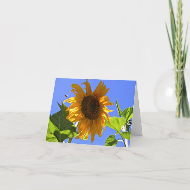 Yellow Sunflower and Honey Bee Summer Note Card (Front)