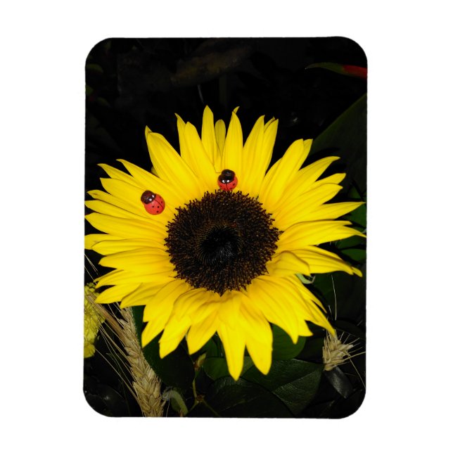Yellow Sunflower And Two Ladybugs Magnet (Vertical)
