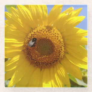 Yellow Sunflower Beverage Glass Coaster