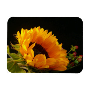 Yellow Sunflower Blossom Magnet